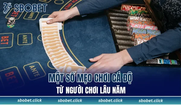Một số kinh nghiệm chơi SBOBET từ người chơi lâu năm