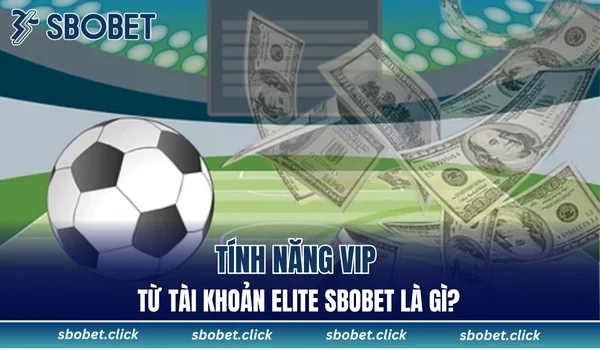Tính năng VIP từ tài khoản Elite SBOBET là gì?