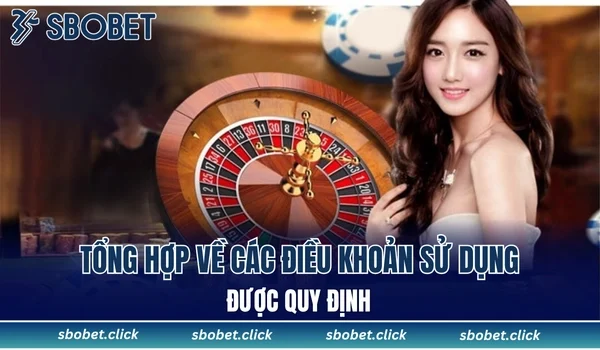 Tổng hợp về các điều khoản sử dụng được quy định